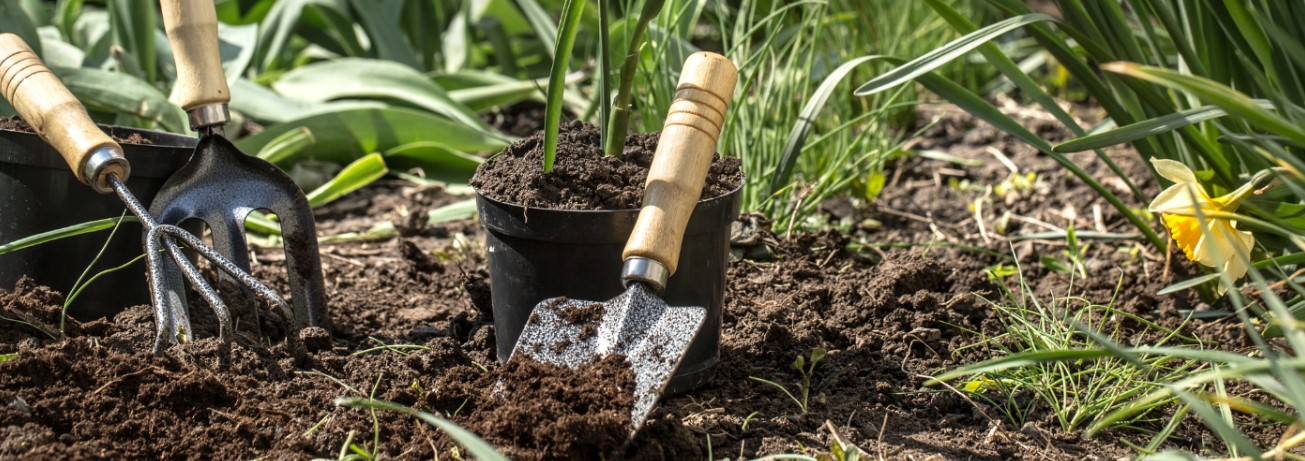 Front Page 1 Front Page -The Garden Works Shop banner254.1