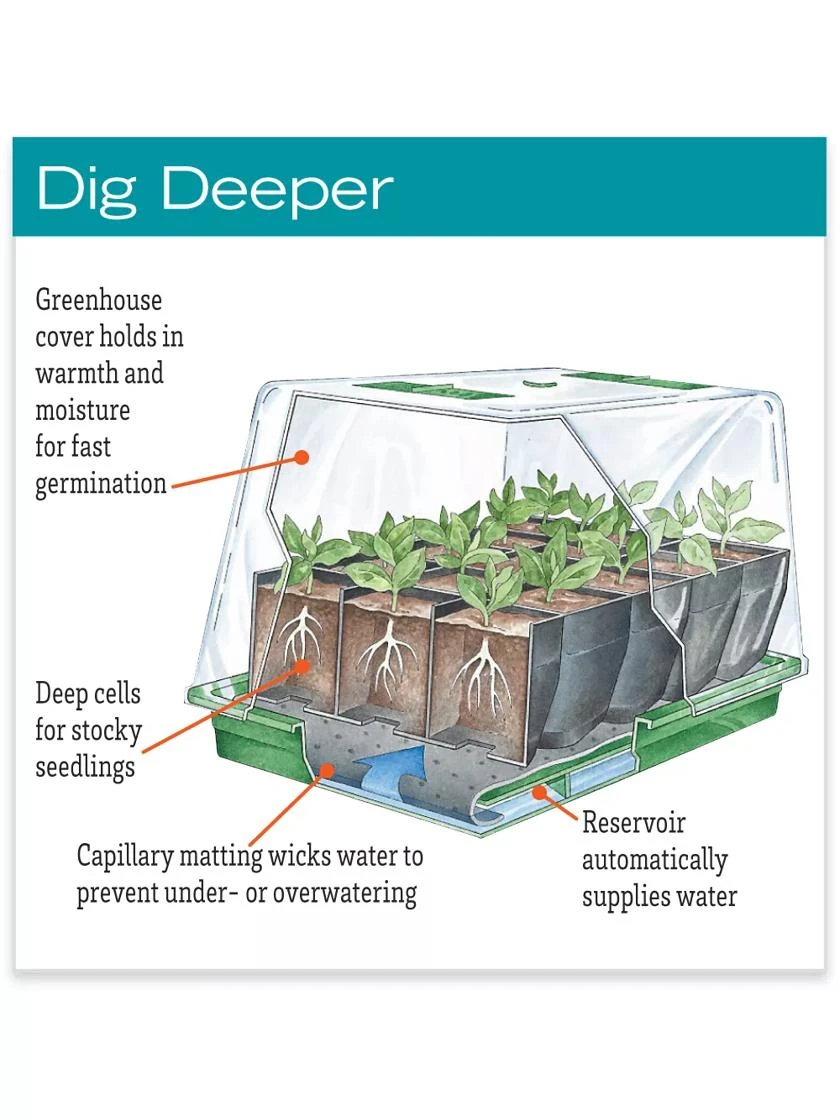 Deep Root Seedstarting System, Black 4 Deep Root Seedstarting System, Black - Image 2