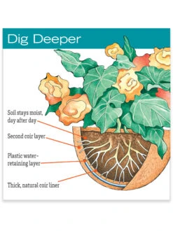 AquaSav™ Replacement Liners, Set Of 3 -The Garden Works Shop hiw 38 583