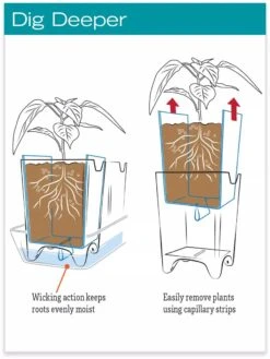 Stoneware Self-Watering Windowsill Planters, Set Of 2 11 Stoneware Self-Watering Windowsill Planters, Set Of 2 -The Garden Works Shop hiw 8593943 jpg