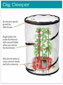 Tomato TLC Kits, Set Of 3 11 Tomato TLC Kits, Set Of 3 -The Garden Works Shop hiw 8594214 jpg