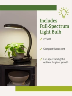 Agrobrite Desktop Plant Light -The Garden Works Shop webimage Agrobrite Desktop